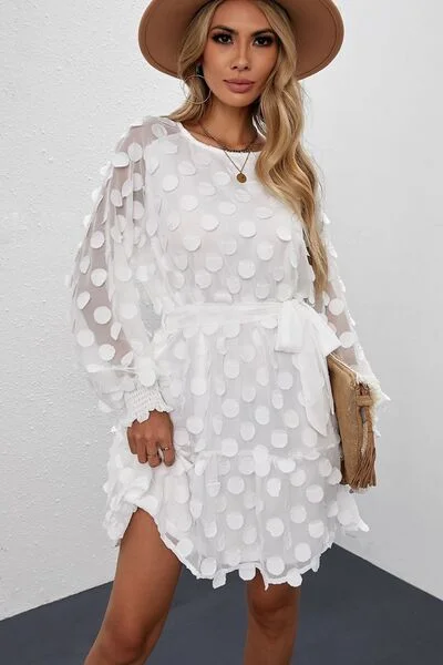 Applique Round Neck Long Sleeve Mini Dress Elegant Tulle Mini Dress